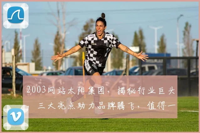 2003网站太阳集团，揭秘行业巨头，三大亮点助力品牌腾飞，值得一看