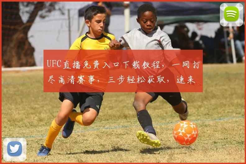 UFC直播免费入口下载教程，一网打尽高清赛事，三步轻松获取，速来体验，不迷路