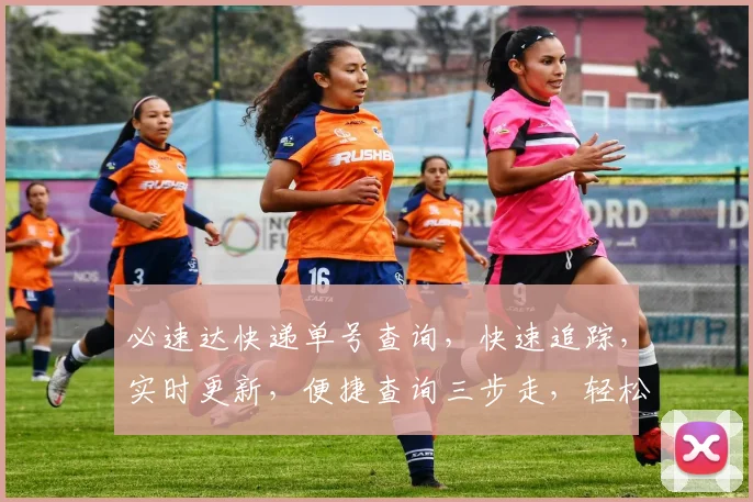 必速达快递单号查询，快速追踪，实时更新，便捷查询三步走，轻松查